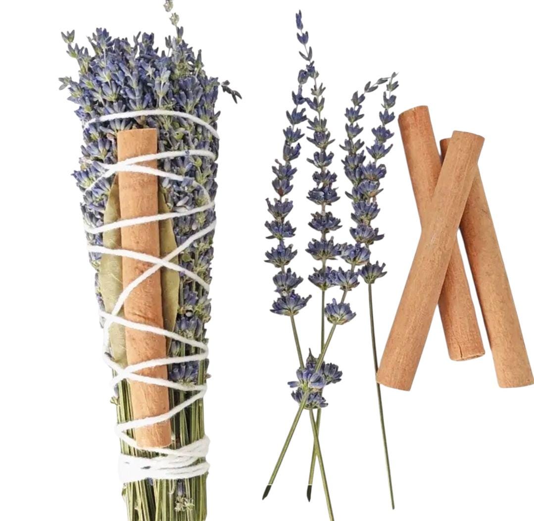 Lavender & Cinnamon Plant Stick – Natural Space Purifier, Meditation Decor