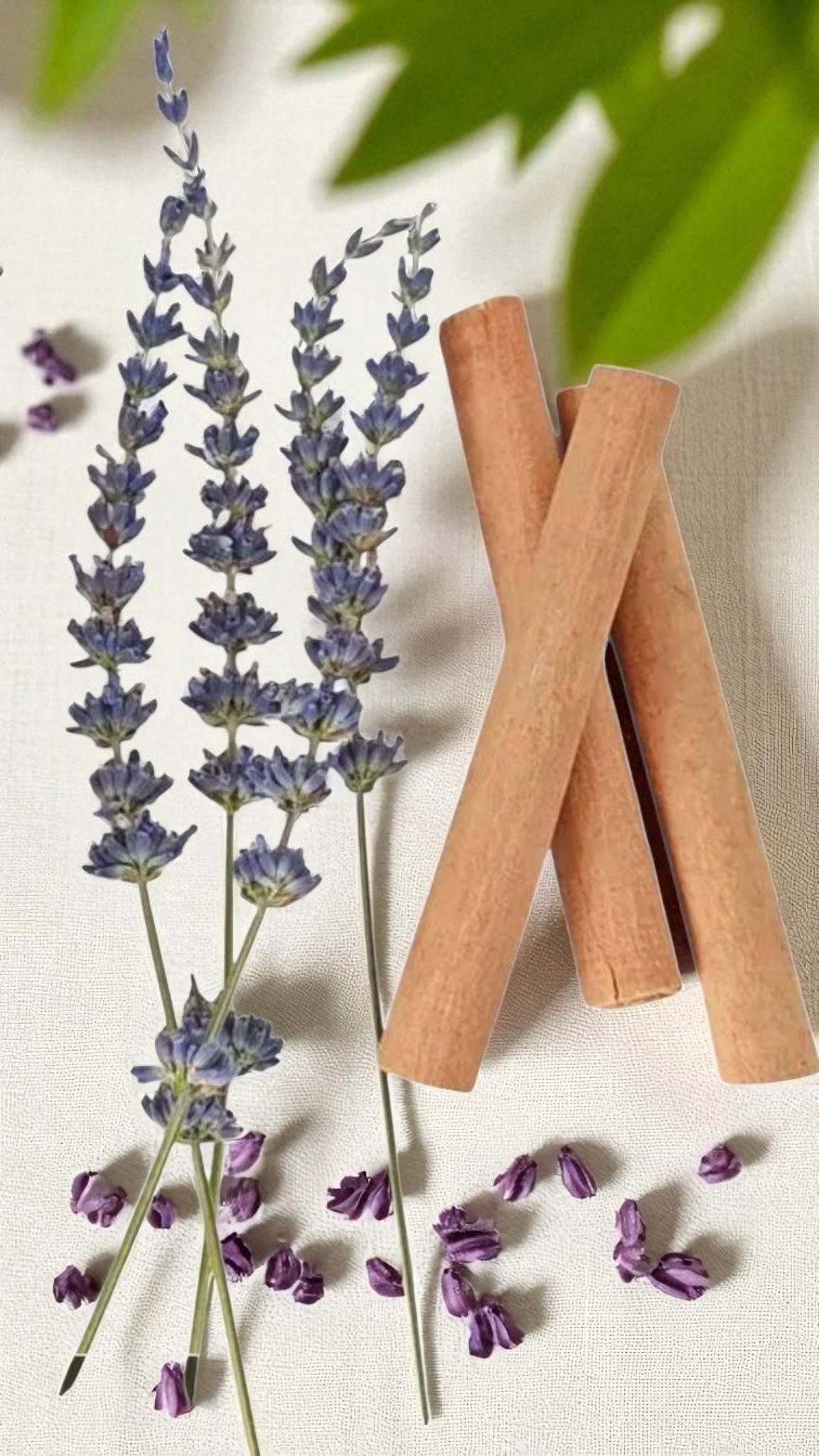 Lavender & Cinnamon Plant Stick – Natural Space Purifier, Meditation Decor